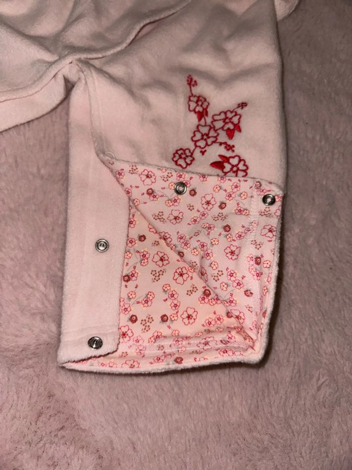 Grenouillère - photo numéro 3