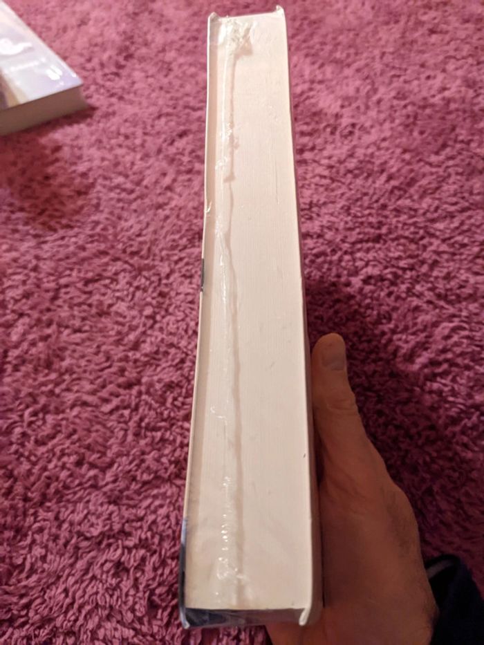 La véritable vie amoureuse de mes amies en ce moment précis - photo numéro 4