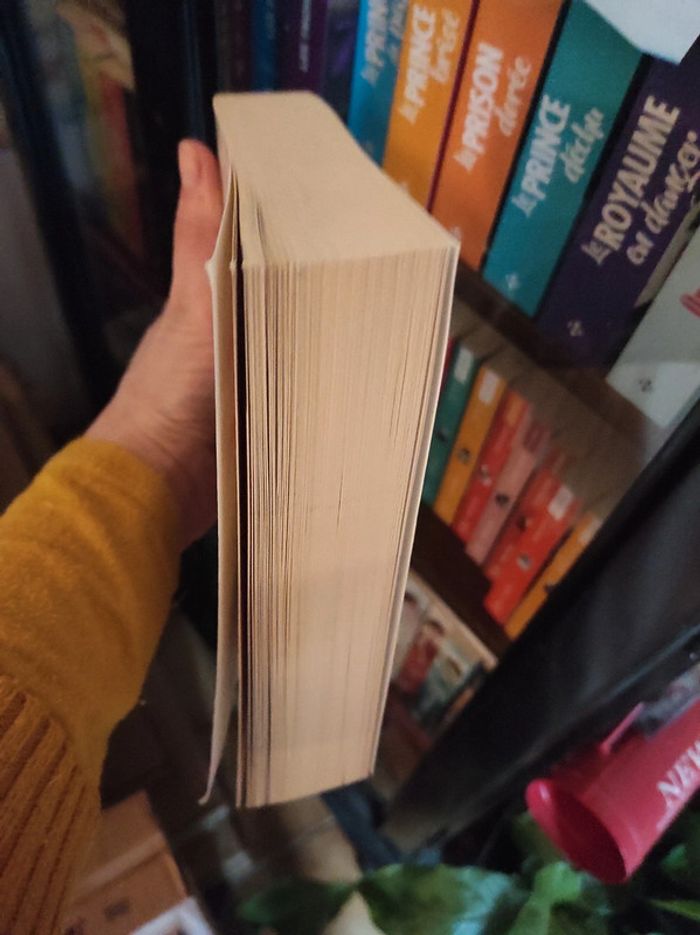 Les chagrins d'amour - photo numéro 4