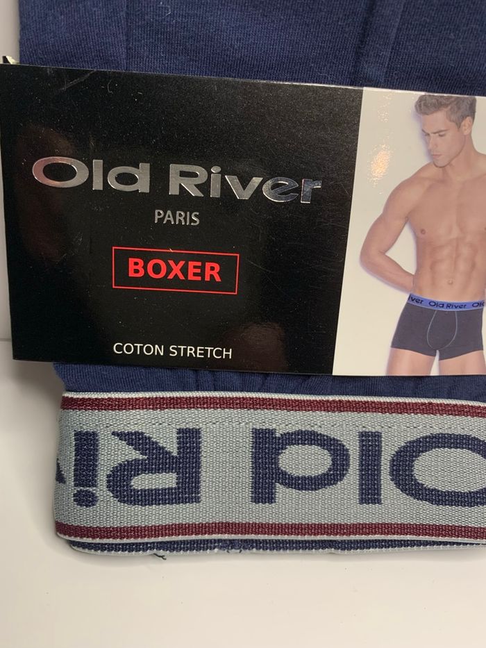 Boxer - photo numéro 2