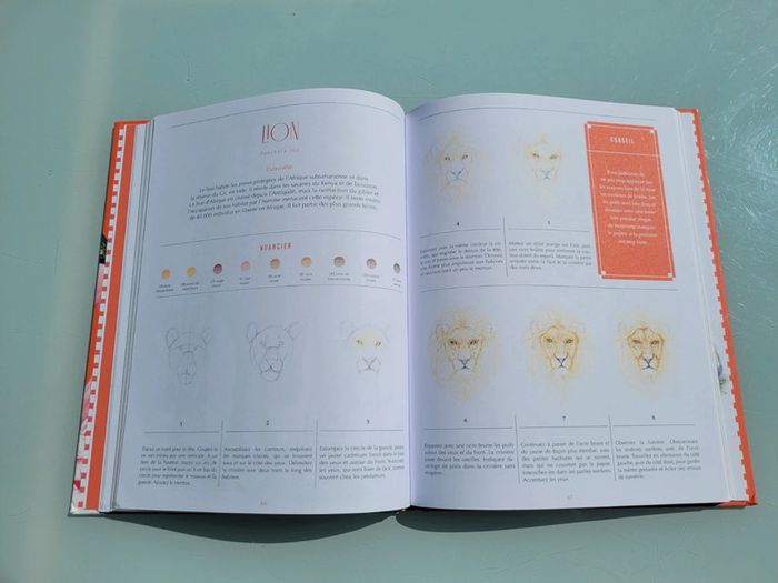 Livre 30 espèces à dessiner en pas-à-pas 🦩 Animaux à sauver 🦒 Beaux-Arts pour la terre (72) - photo numéro 7