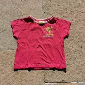 Tee-shirt tweety titi 4 ans