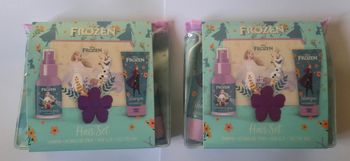 Lot de 2 trousses Garnies la reine des neiges