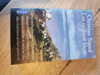 Livre " Les cailloux bleus "