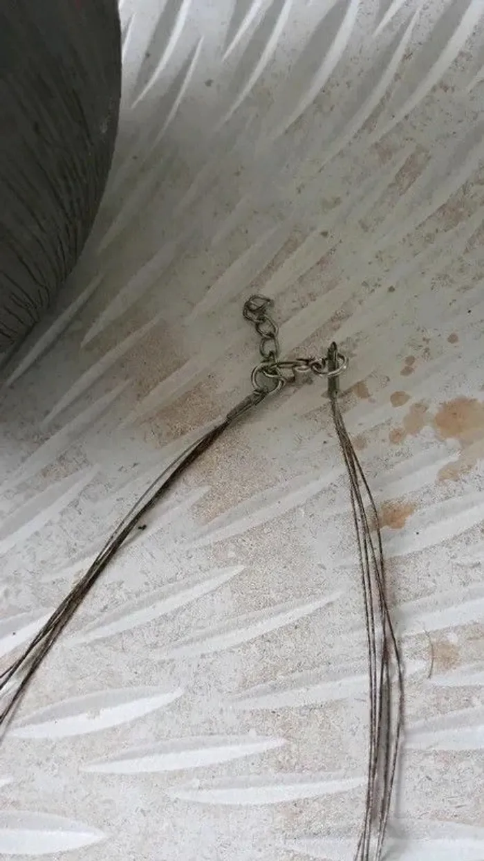 Collier - photo numéro 3