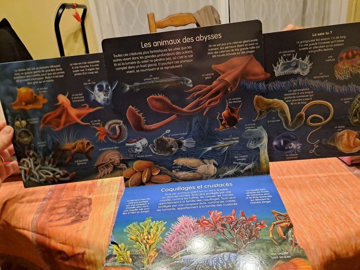 L’imagerie découverte la mer - photo numéro 4