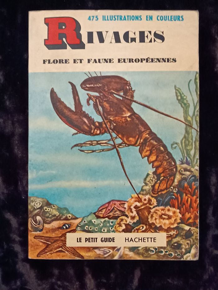 Petit guide flore et faune européennes Hachette - photo numéro 2