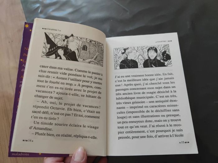 Livre la sorcière a la rescousse - photo numéro 4
