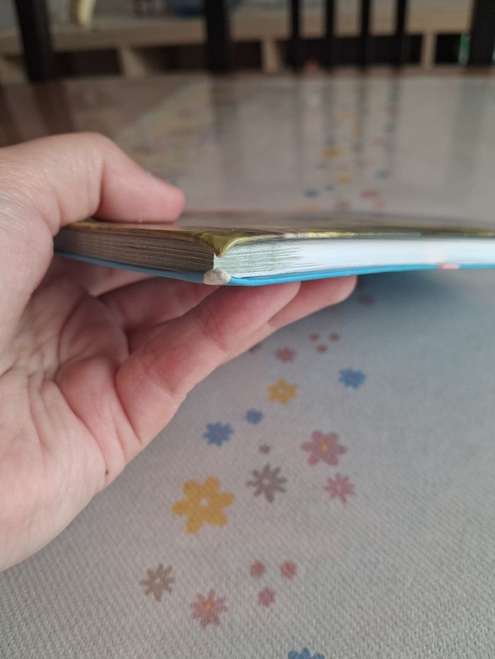 Livre mes amis les chevaux tome 5 - photo numéro 4