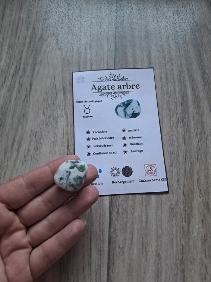 Agate arbre et sa fiche bienfaits