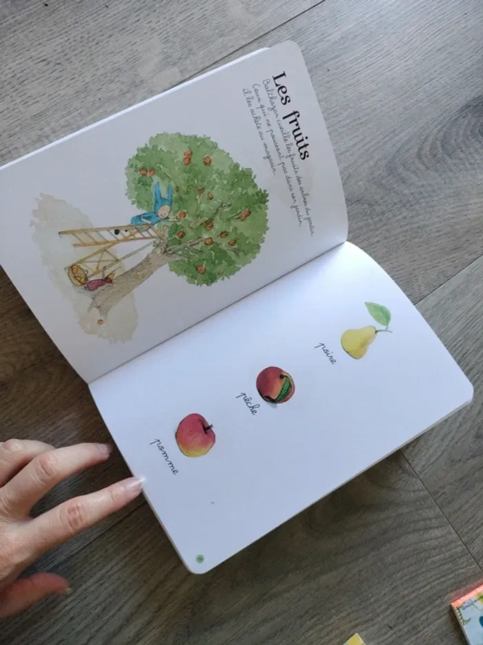 Lot imagiers - photo numéro 9