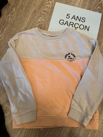 Pull Garçon 5 ans