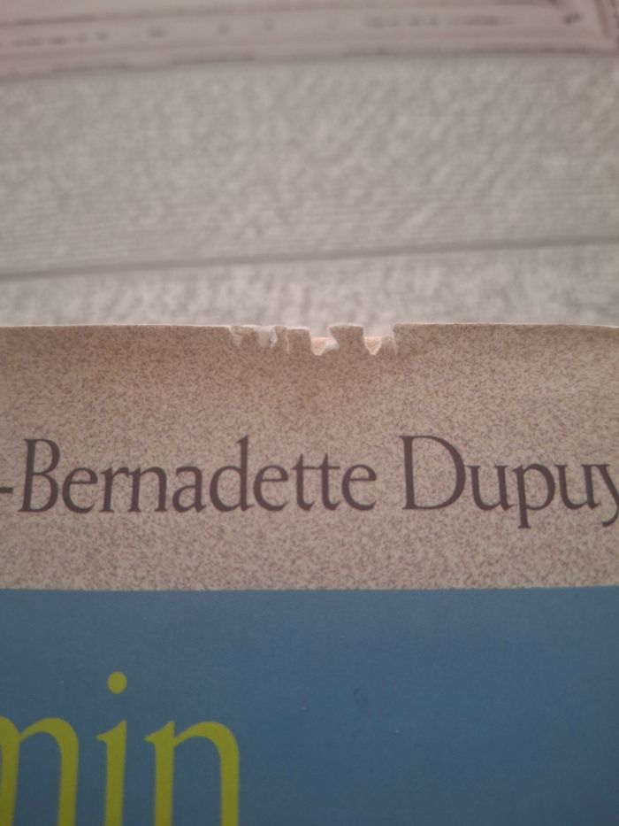 Le chemin des falaises - photo numéro 2