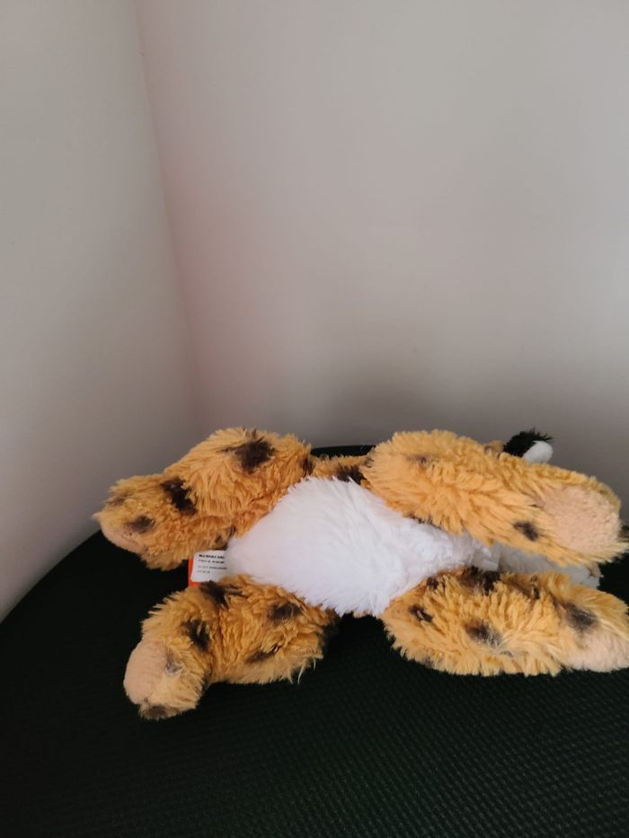 mini guépard - photo numéro 2