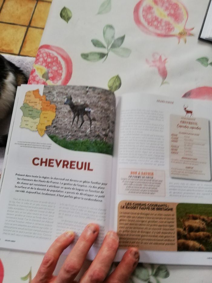 2 livres de chasse - photo numéro 10