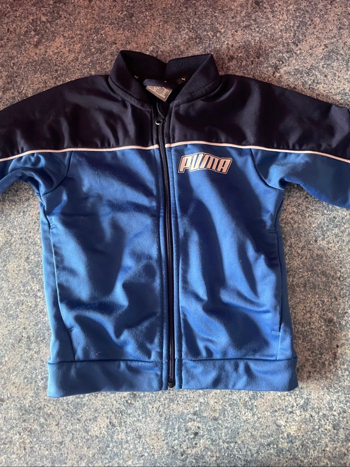 Ensemble puma