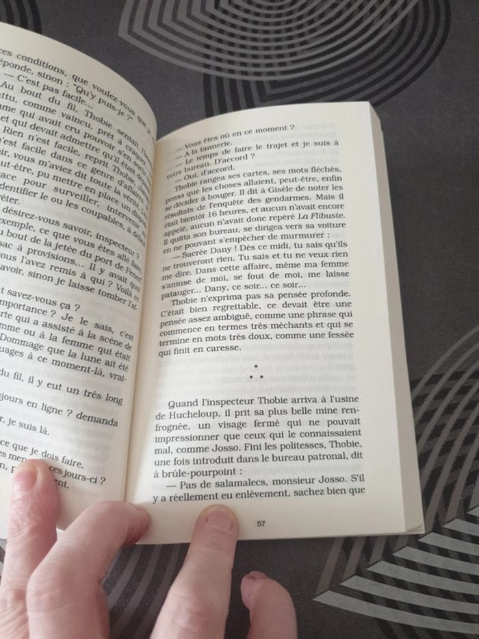 Le sorcier de Vannes - photo numéro 3