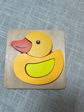 Puzzle canard