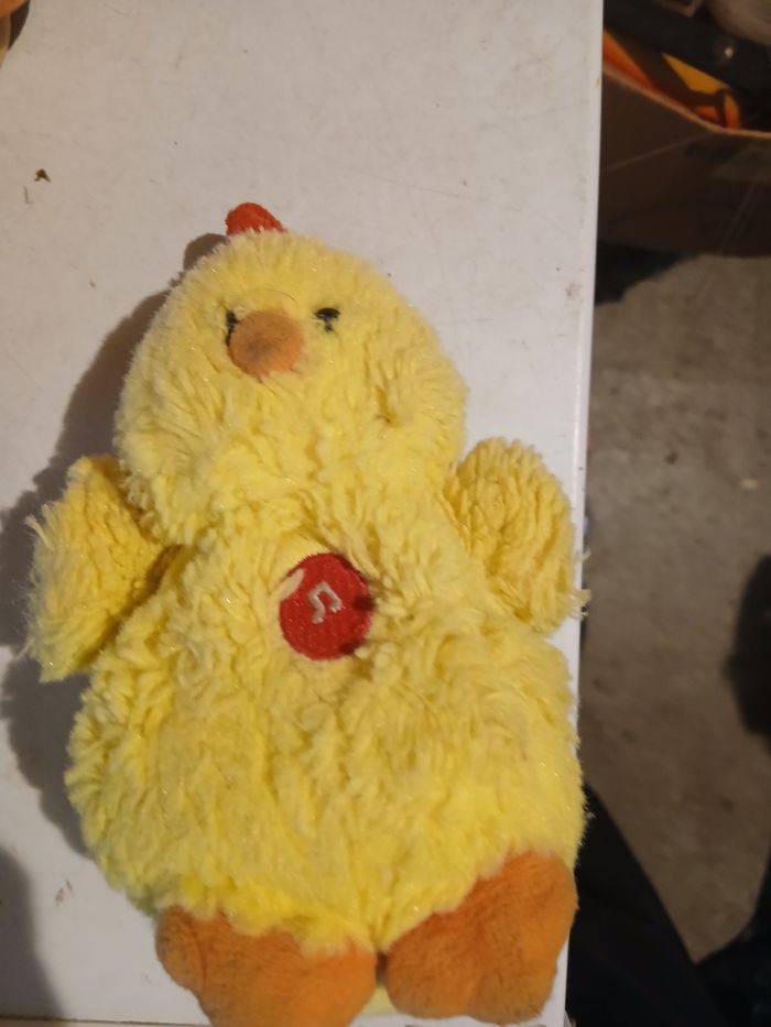 Poussin qui parle