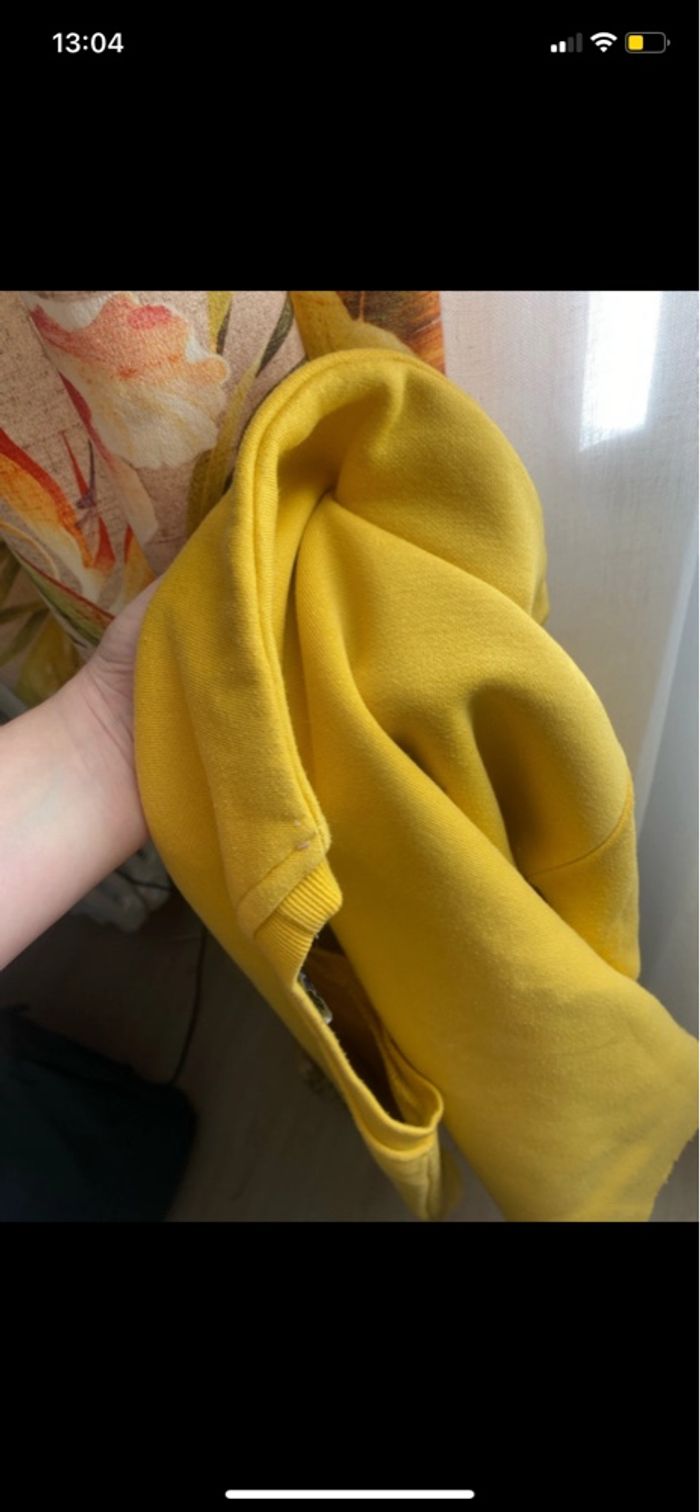 Pull court - photo numéro 3