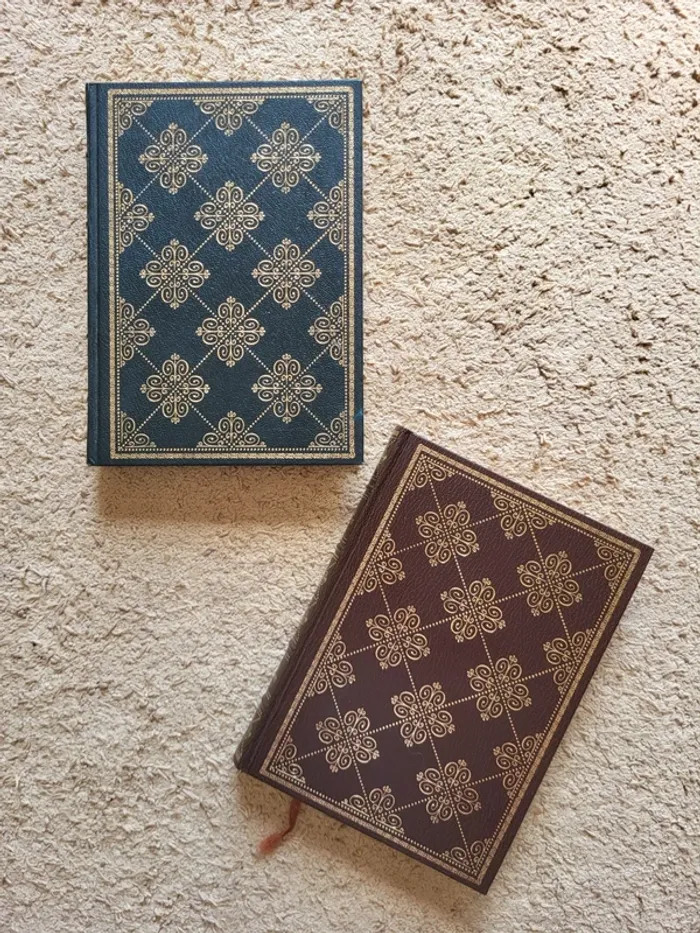 Lot de 2 livres anciens 1976 - Bibliothèque du temps présent