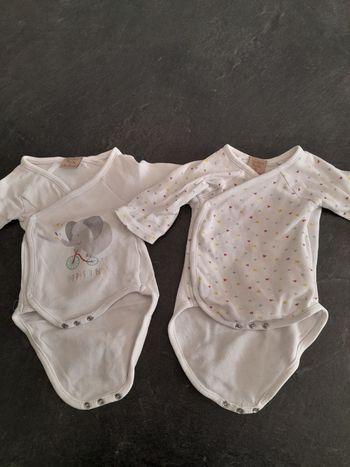 Lot 2 bodies 3m