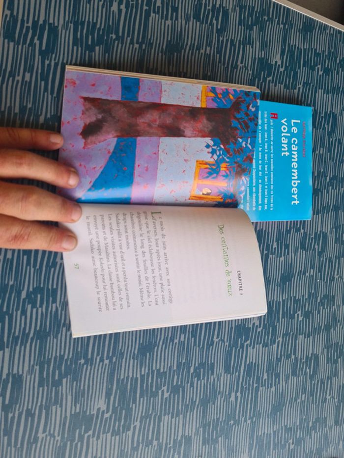 Petits romans jeunesse - photo numéro 6