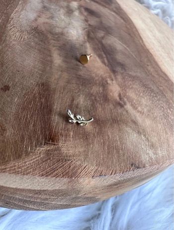 Piercing feuilles nature