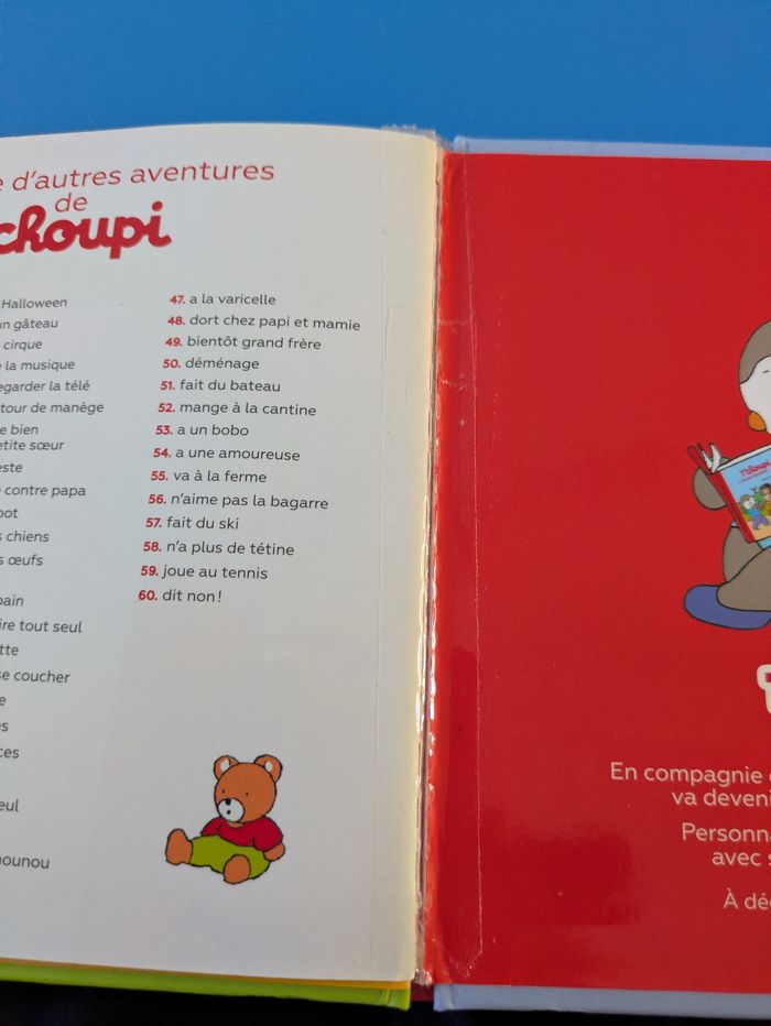 Lot 14 livres T'choupi - photo numéro 10
