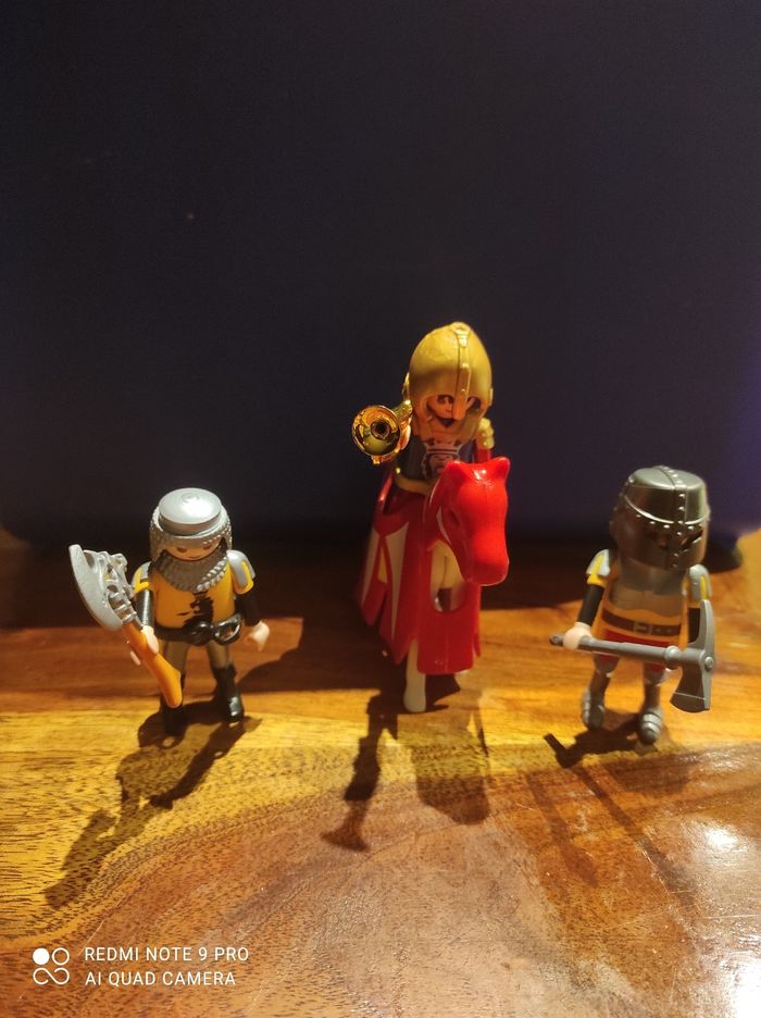 Chevalier playmobils