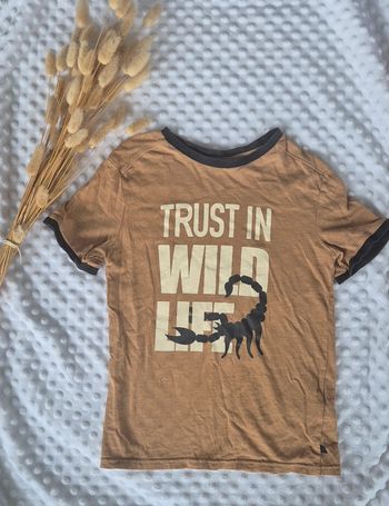 Jolie Tee-shirt manche courte 8 ans