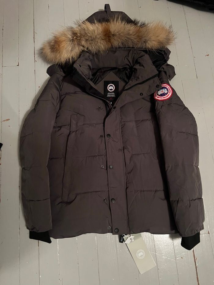 Canada goose - photo numéro 2