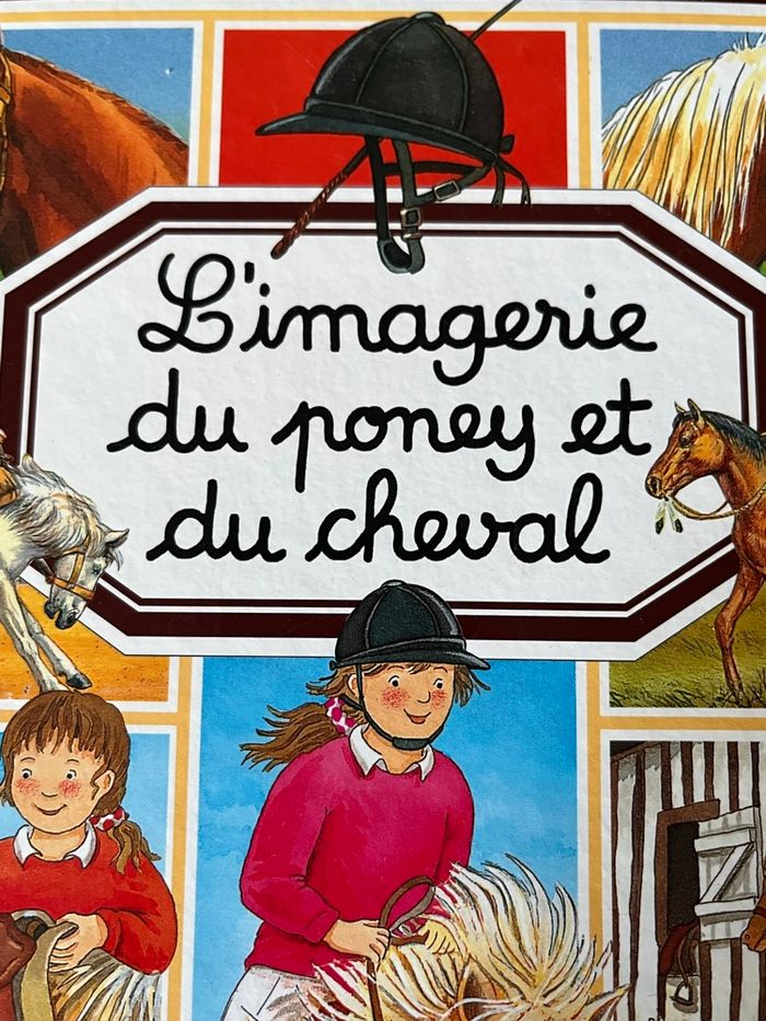 L’imagerie du poney et du cheval  FLEURUS - photo numéro 2