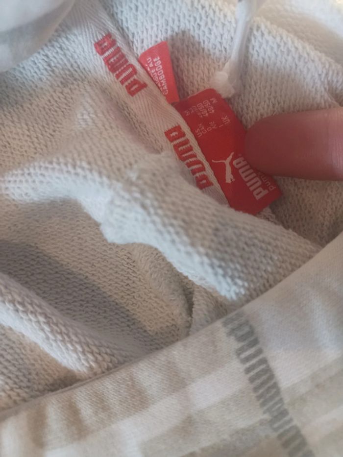Pull sweat à capuche Puma en be - photo numéro 3