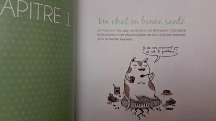 Rendre son chat heureux carnet de santé et livre - photo numéro 7
