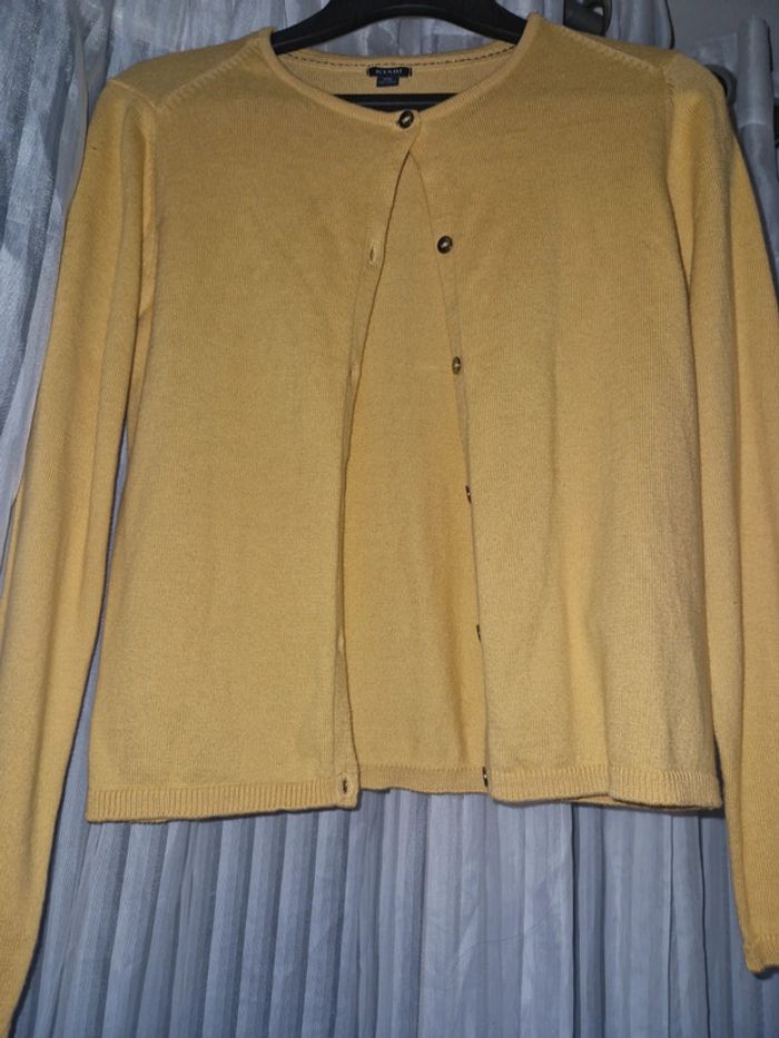 Gilet jaune - photo numéro 3