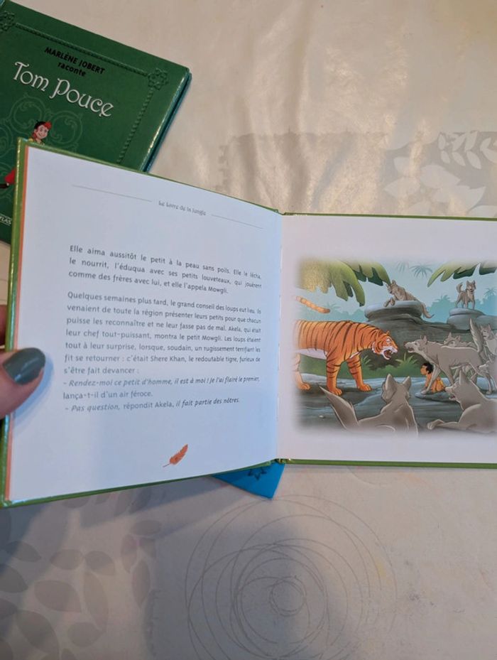Lot livres contes - photo numéro 11
