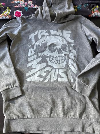 Pull à capuche gris