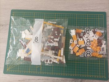 Sachet numéro 8 n°8 complet pour le set Lego Icons 10294 Le Titanic