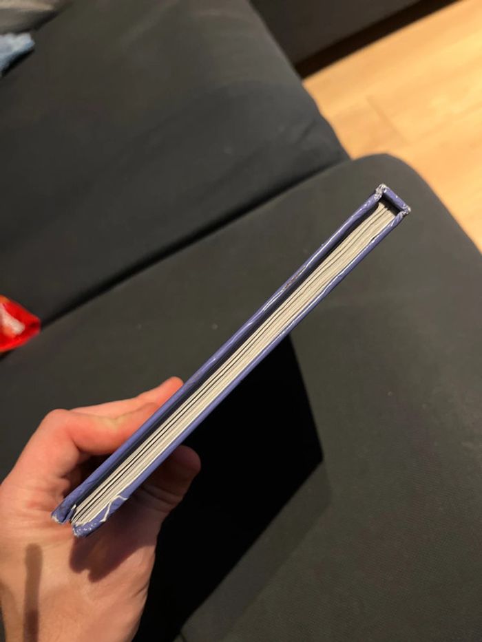 Livre pour enfants Disney les classiques volt star malgré lui - photo numéro 4