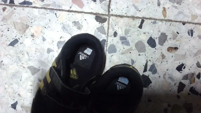 Adidas basket - photo numéro 2