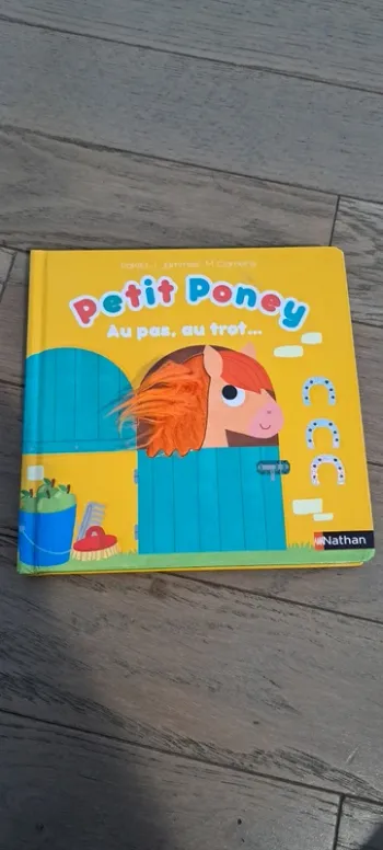 Livre Petit Poney