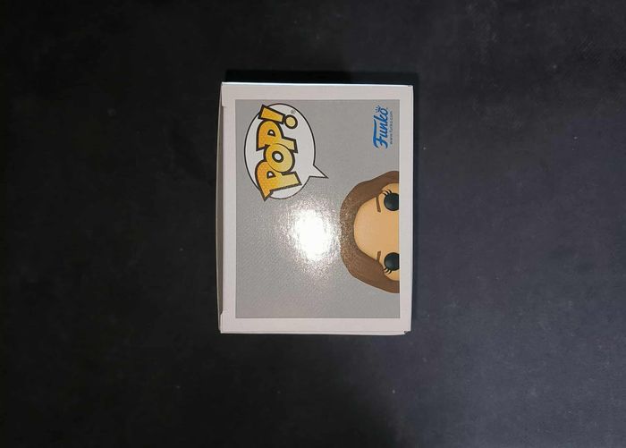 Figurine Funko Pop / Hermione & Pattenrond 167 / Harry Potter - photo numéro 5