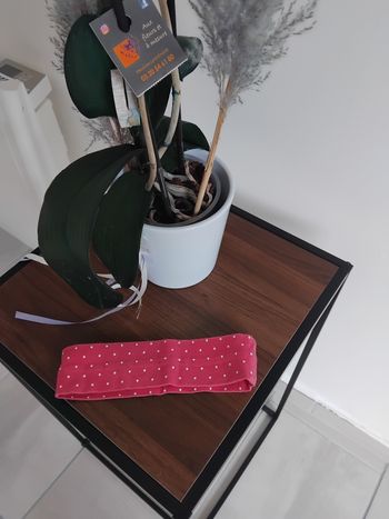 Bandeau de tête ou serre tête 3 ans