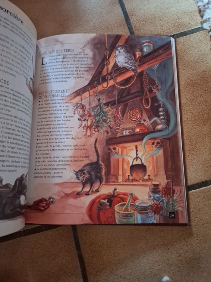 Sorcières et autres jeteuses de sorts - photo numéro 9