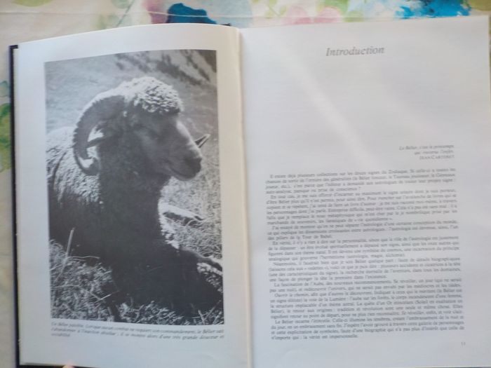 LE GRAND LIVRE DU BELIER par A. WALDSTEIN Ed. Tchou - photo numéro 4