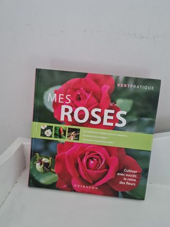 Mes roses