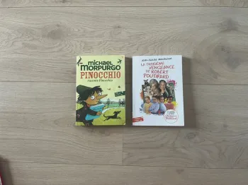 Deux romans ado Pinocchio et La troisième vengeance de Robert Poutifard