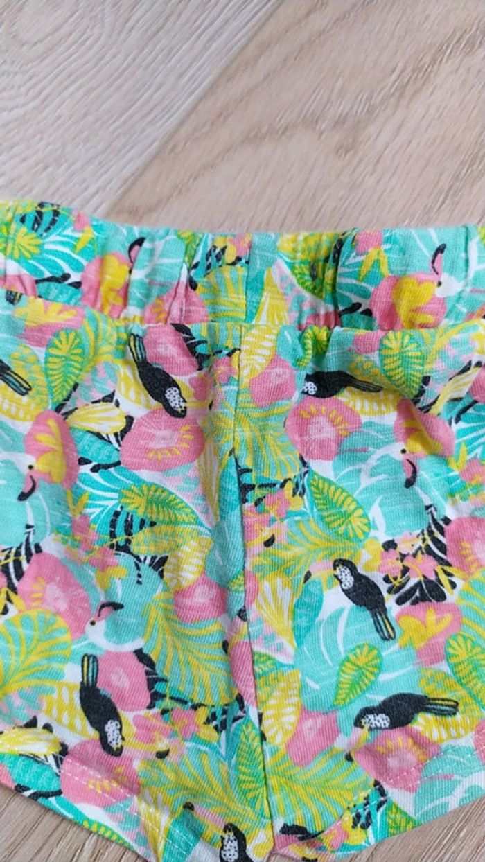 Short vers été 6 mois toucan fleurs - photo numéro 4