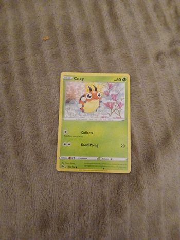 Carte pokemon